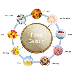 Food Thickener halal food edible Gelatin pharma beef skin gelatin 120- 160 180 250 260 280 bloom